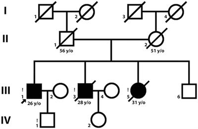 Glu20Ter Variant in PLEC 1f Isoform Causes Limb-Girdle Muscle Dystrophy with Lung Injury